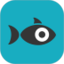 (Snapfish)