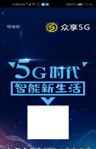 5G