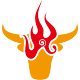 ţ