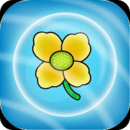 Camelina Caper