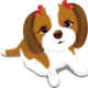 ¼