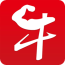 ţ