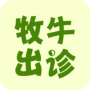 ţ