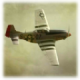 P51Dģս