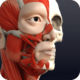 ҽDr