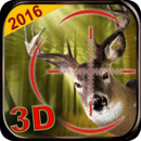 ¹3D
