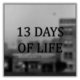 е13