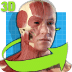 Easy Anatomy 3D
