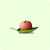 ʳŻ