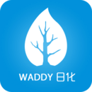WADDYջ