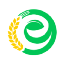 ũ365
