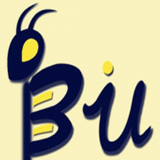 Biu