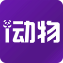 涯