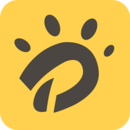 㼣