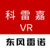 ׼VR