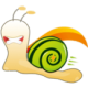ţ
