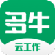 ţ