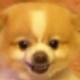 ɵս