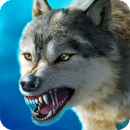 the wolf