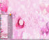 ˮ Win7ٷװ