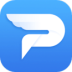 pdfת