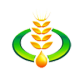 йʳ
