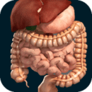 Organs3D׿