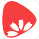 ѡ