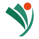 п2020(ʡԺ)
