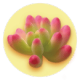 ͼ