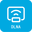 DLANͶ
