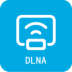 DLANͶ