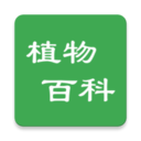 ֲٿ