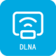 ֻdlnaͶ