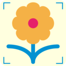 ʶ