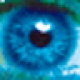 ֻۼ