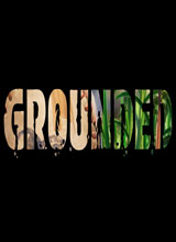 Grounded