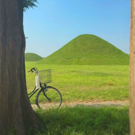 夏日清爽治愈的微信背景图素材