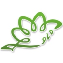 ǻ