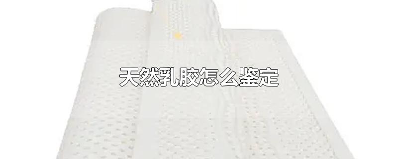 天然乳胶怎么鉴定