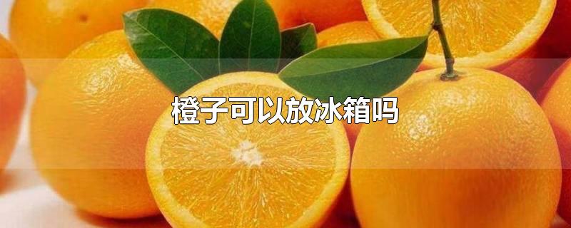 ӿԷű