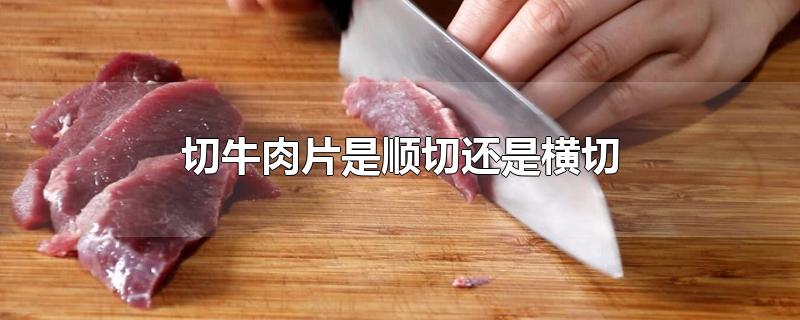 ţƬ˳лǺ