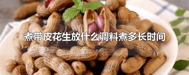 Ƥʲô೤ʱ