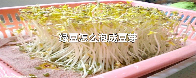 ̶ôݳɶѿ