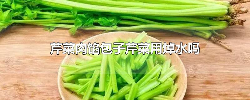 ۲ڰ۲ˮ