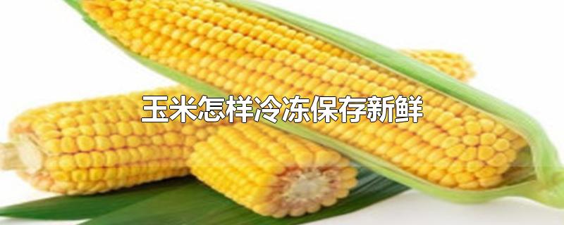 䶳