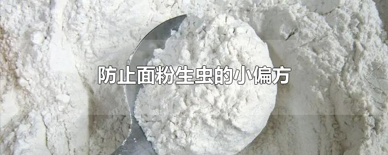 ֹСƫ