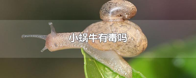 Сţж