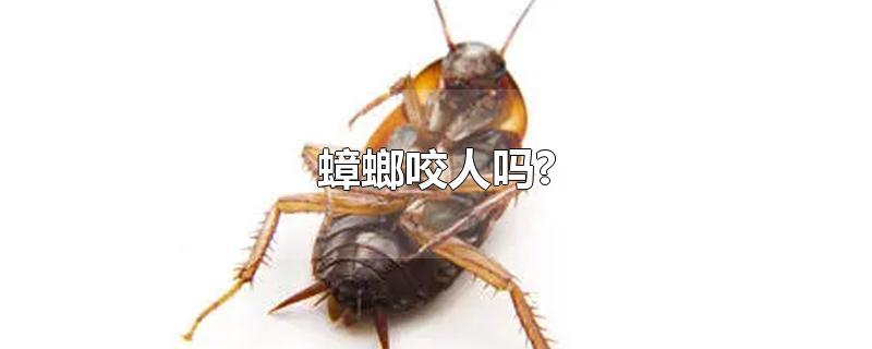 ҧ?