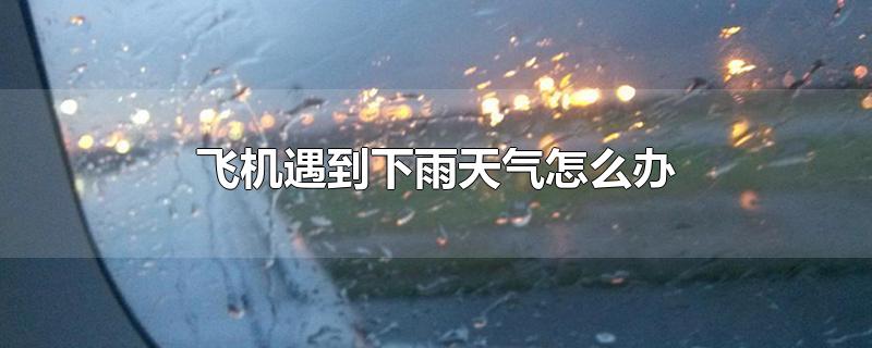 ɻô